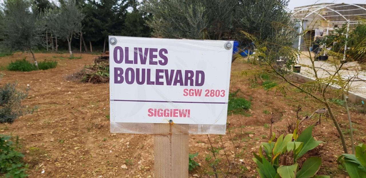 منزل الضيف Siggiewi  في Auberge De Provence المظهر الخارجي الصورة